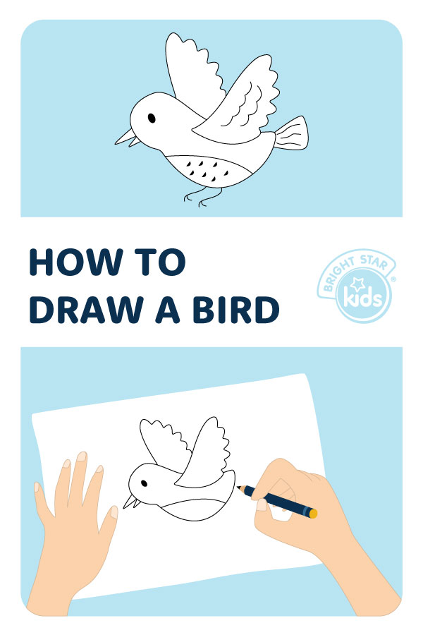 bird. Birds. Drawings. Pictures. Drawings ideas for kids. Easy and simple.  | Simple bird drawing, Easy drawings, Bird drawings