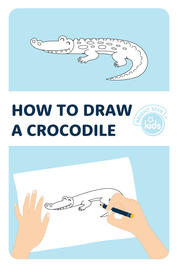 Reptile animals doodle drawing collection. Crocodile, chameleon, frog,  mosquito. Swamp, pond or lake animals and nature. Vector hand drawn cartoon  doodle illustration for kids. Stock Vector | Adobe Stock