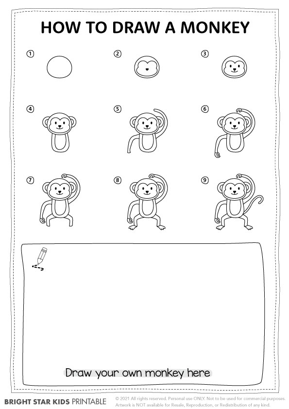 How to Draw a Monkey (teacher made) - Twinkl