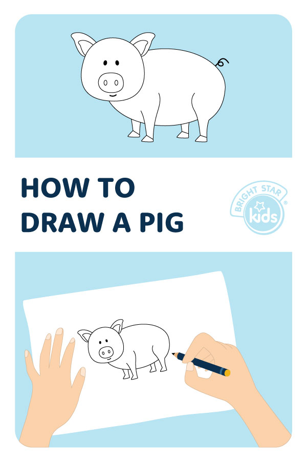 Duroc Pig Breed Cartoon Retro Drawing