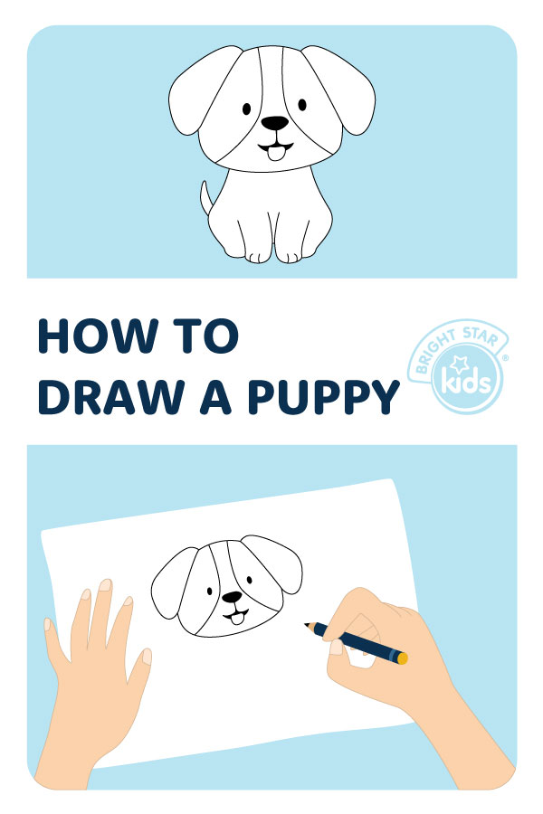 Learn How to Draw Golden Retriever Puppy Dogs Step by Step  Drawing  Tutorials