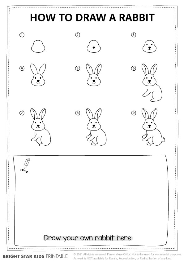 How to Draw Bunny | Nil Tech - shop.nil-tech