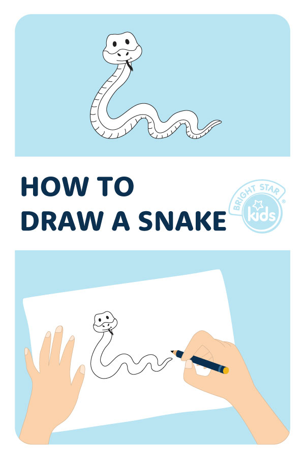 40 Snake Coloring Pages (Free PDF Printables)