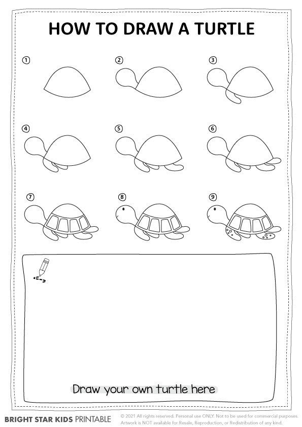 How To Draw A Turtle Bright Star Kids Cute Turtle Drawing