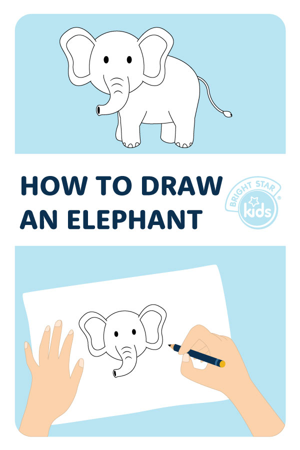 How To Draw An Elephant - Bright Star Kids Easy Elephant Drawing